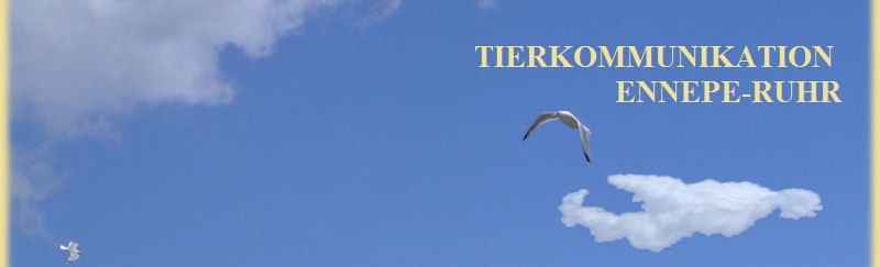 TIERKOMMUNIKATION 
ENNEPE-RUHR