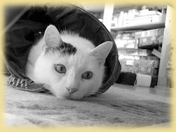 was geht in dir vor?